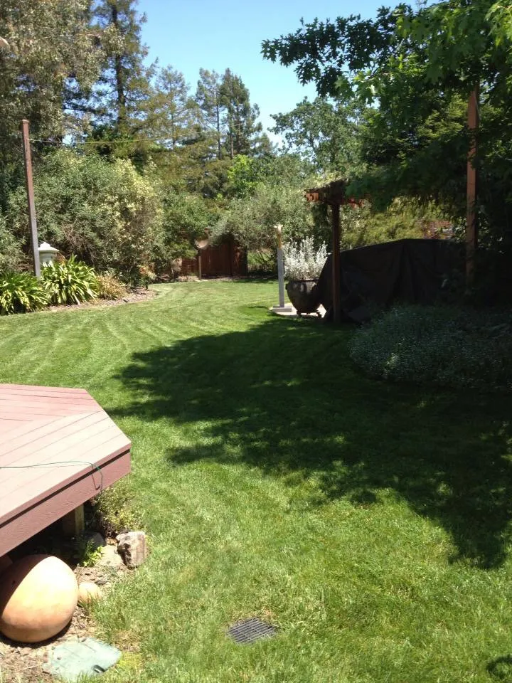 Local lawn mowing service in Cotati, CA by CCK Landscaping