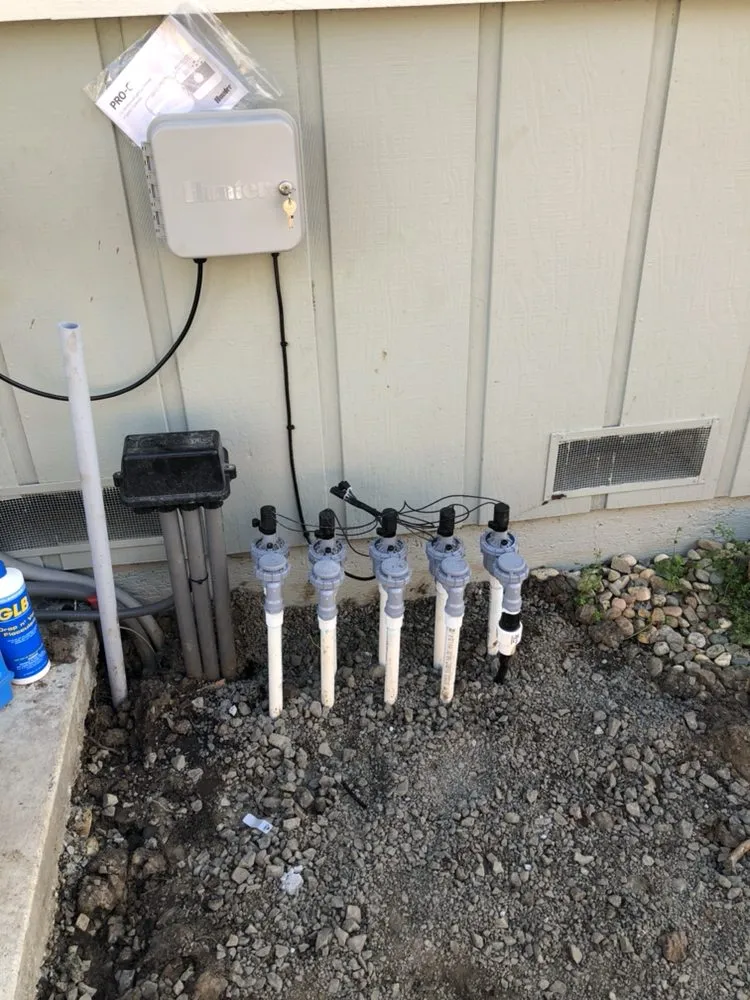 Professional yard cleanup service in Cotati, CA by CCK Landscaping