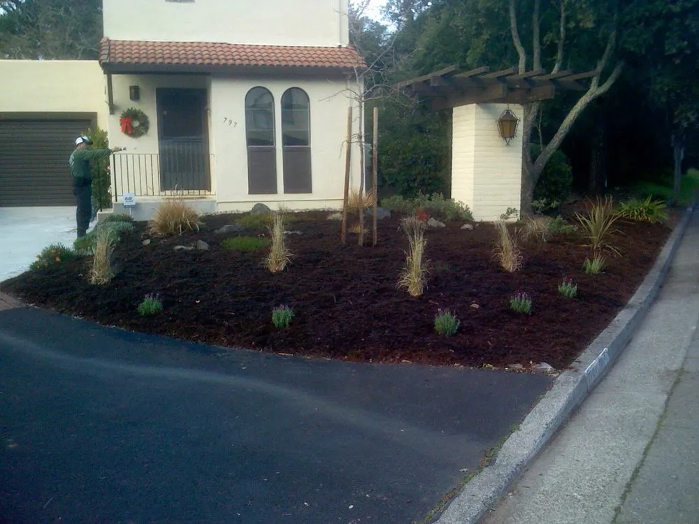 Local outdoor landscaping in Cotati, CA by CCK Landscaping