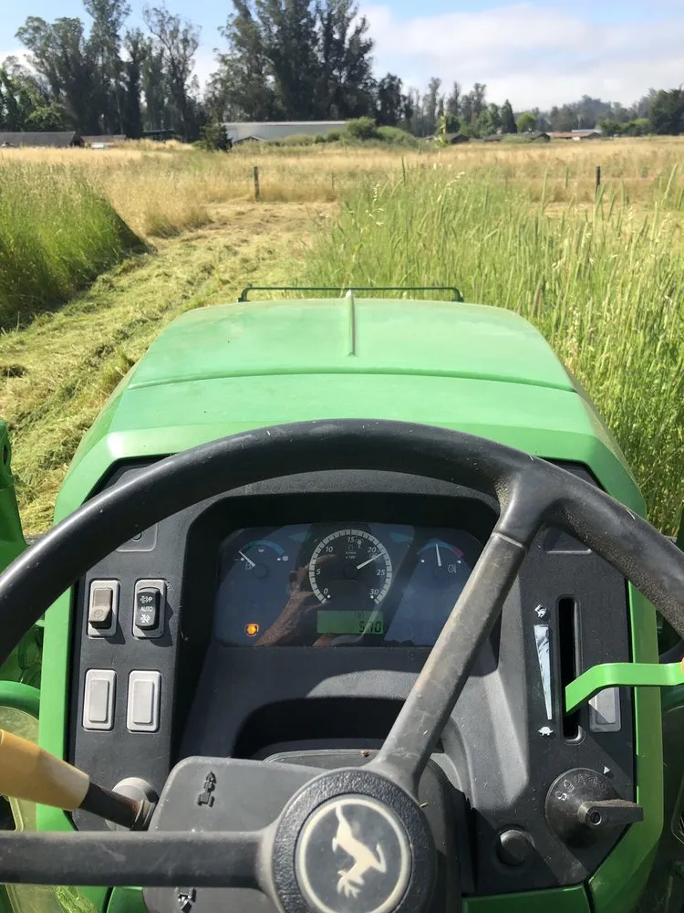 Top-rated outdoor landscaping experts serving Cotati, CA - CCK Landscaping