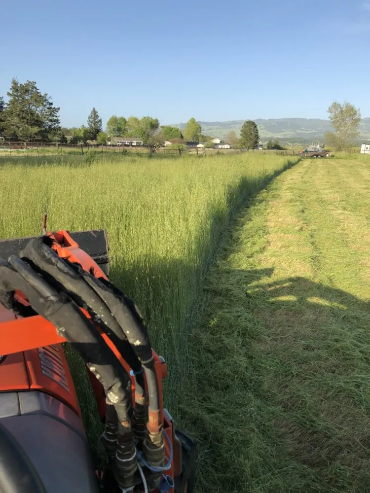 Top-rated yard maintenance for year-round maintenance across Cotati, CA - CCK Landscaping