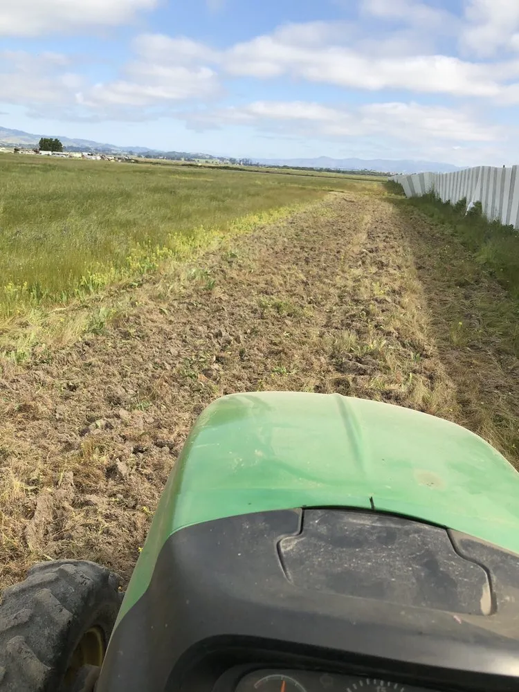 Expert lawn care service in Cotati, CA - CCK Landscaping