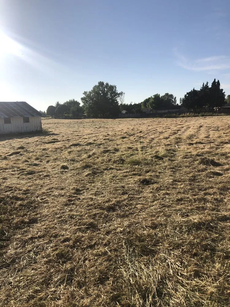 Reliable yard cleanup service experts serving Cotati, CA - CCK Landscaping