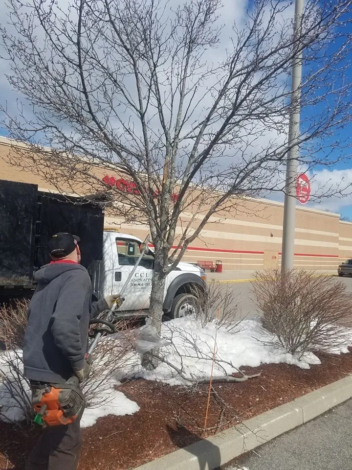 Professional landscape design near you across Charlton, MA - CCL Landscaping