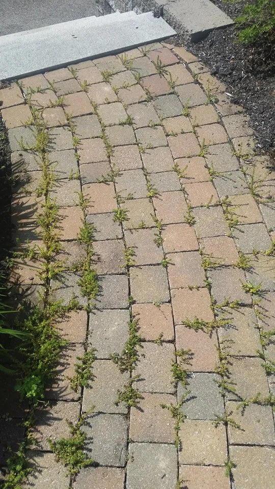 Custom landscape design experts serving Charlton, MA - CCL Landscaping