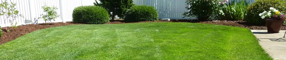 Professional outdoor landscaping in Waldorf, MD by CCL Landscaping