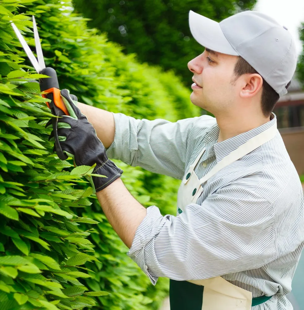Affordable residential landscaping experts serving Waldorf, MD - CCL Landscaping