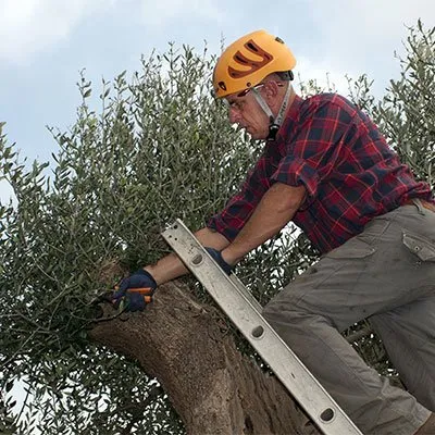 Affordable landscape installation for year-round maintenance across Waldorf, MD - CCL Landscaping