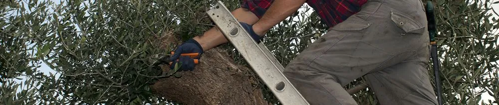 Affordable landscaping services in Waldorf, MD - CCL Landscaping