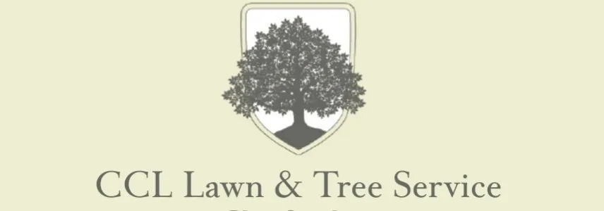 Affordable lawn mowing service for beautiful yards in Fayetteville, NC by CCL Lawncare & Tree Services