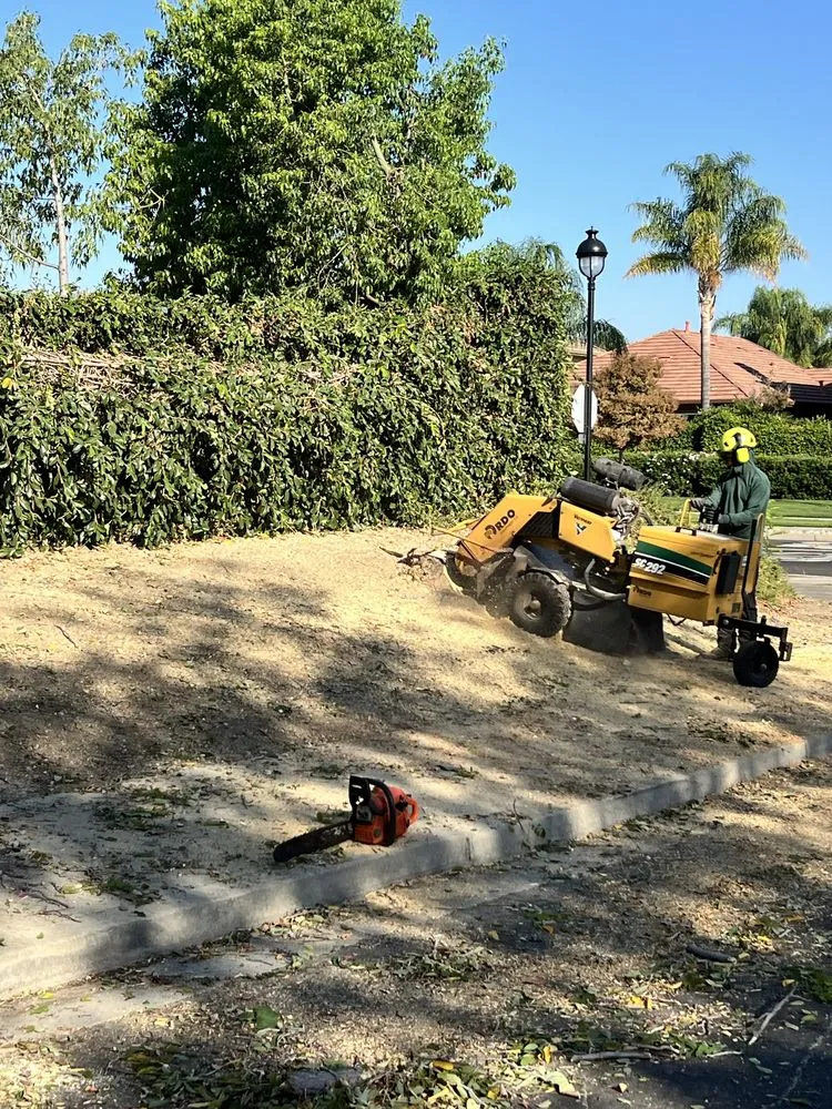 Reliable landscaping services experts serving Oakley, CA - CCL Trees Services