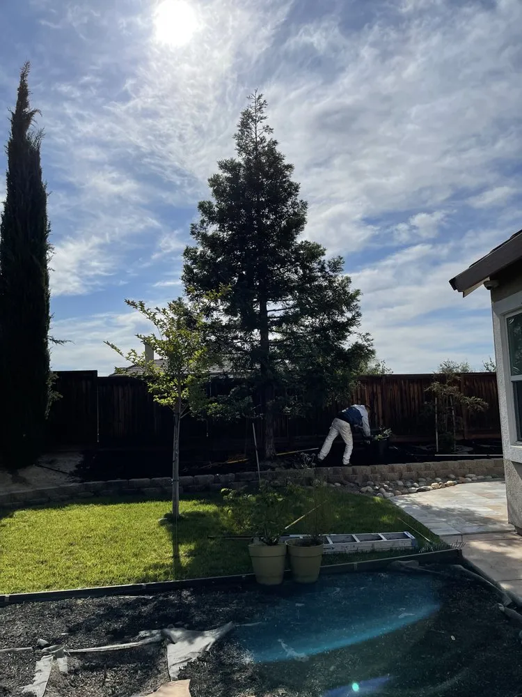 Expert landscaping services in Oakley, CA - CCL Trees Services