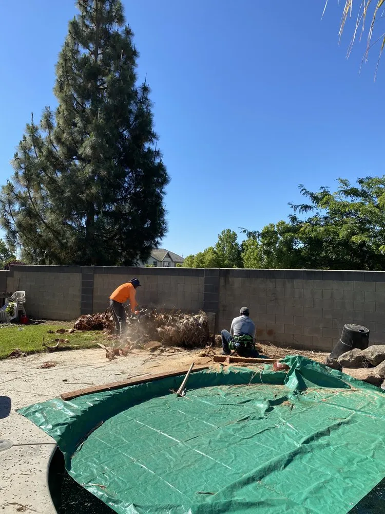 Professional garden landscaping for residential properties across Oakley, CA - CCL Trees Services