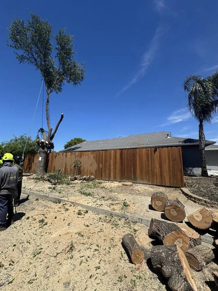 Trusted landscape design experts serving Oakley, CA - CCL Trees Services
