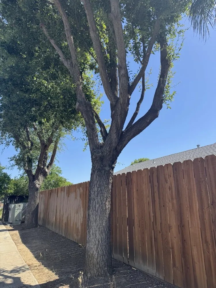 Trusted residential landscaping in Oakley, CA by CCL Trees Services