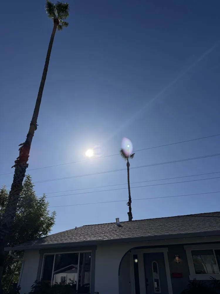 Reliable landscaping services experts serving Oakley, CA - CCL Trees Services