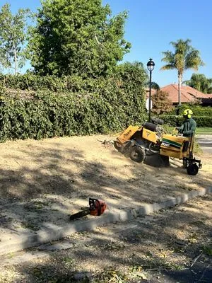 CCL Trees Services Logo