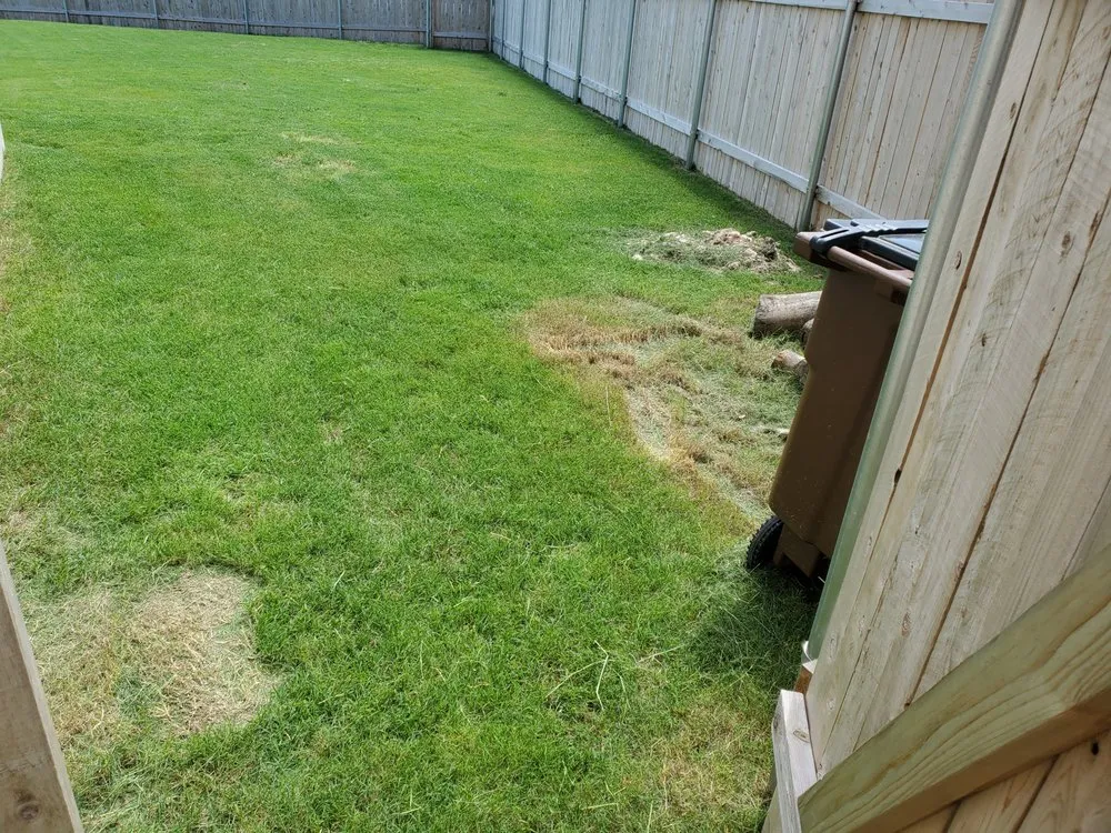 Expert lawn mowing service for year-round maintenance across Webberville, TX - CC&m Landscape & Irrigation