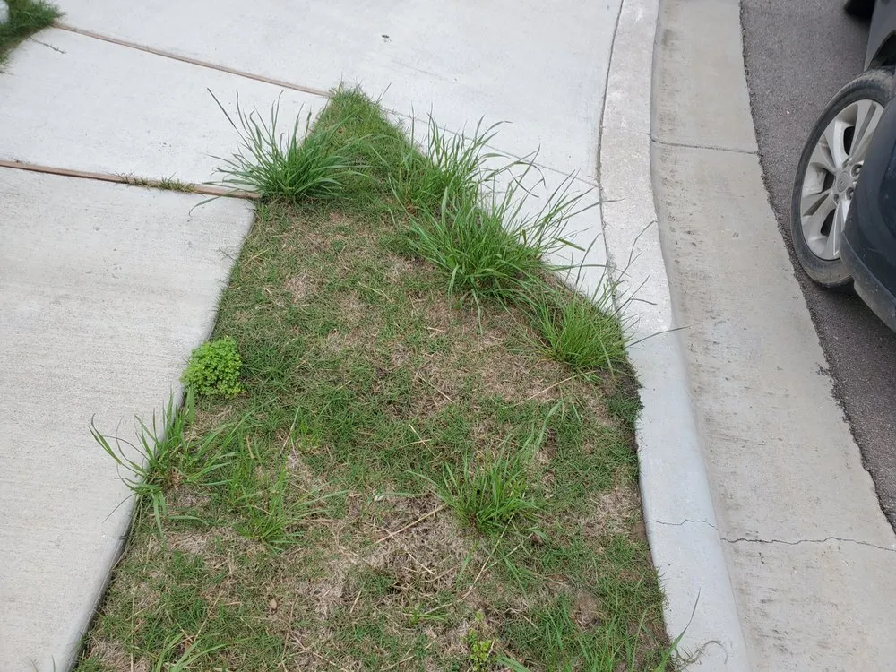 Expert yard maintenance in Webberville, TX by CC&m Landscape & Irrigation