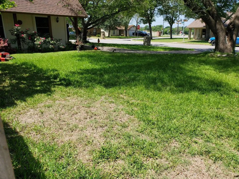 Affordable landscaping services experts serving Webberville, TX - CC&m Landscape & Irrigation