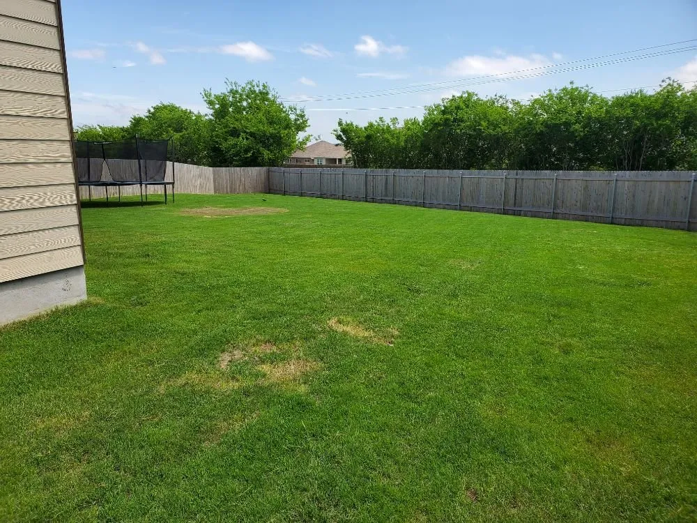 Top-rated residential landscaping experts serving Webberville, TX - CC&m Landscape & Irrigation