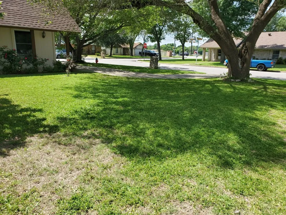 Local outdoor landscaping for residential properties across Webberville, TX - CC&m Landscape & Irrigation