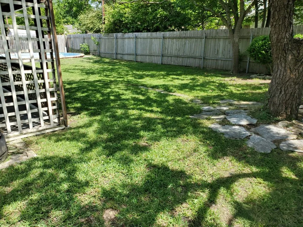 Expert lawn care service with custom design across Webberville, TX - CC&m Landscape & Irrigation