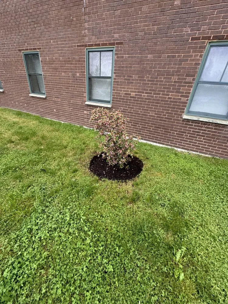 Professional lawn care service for beautiful yards in Auburn, NH by CCMJ Landscaping