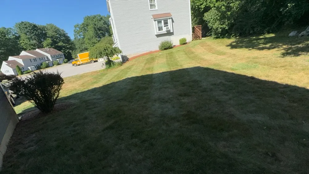 Trusted yard cleanup service experts serving Auburn, NH - CCMJ Landscaping