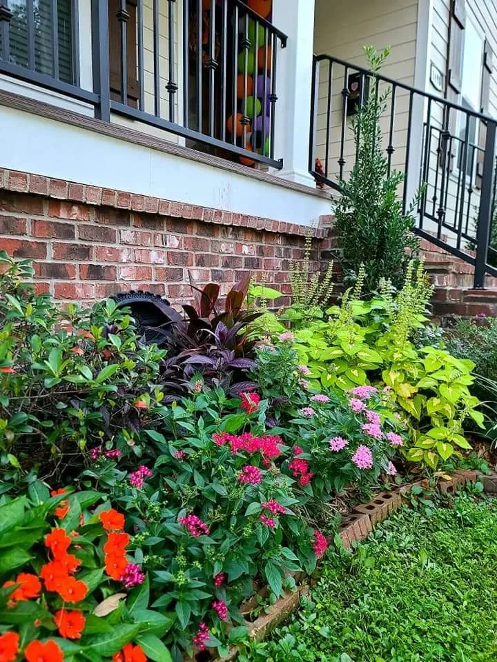 Trusted residential landscaping in Meraux, LA by CCNG