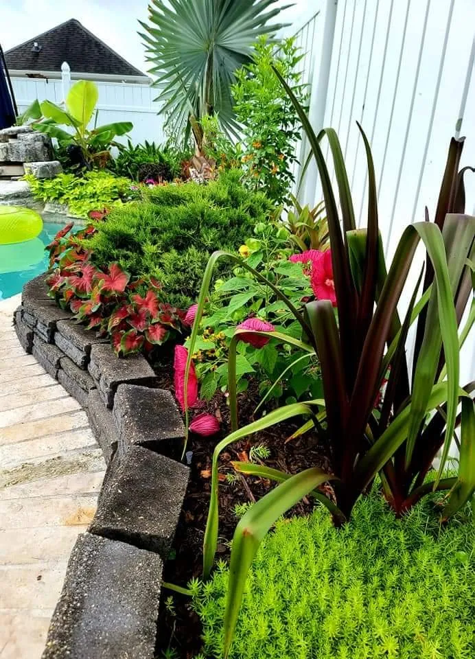 Top-rated landscape installation in Meraux, LA by CCNG