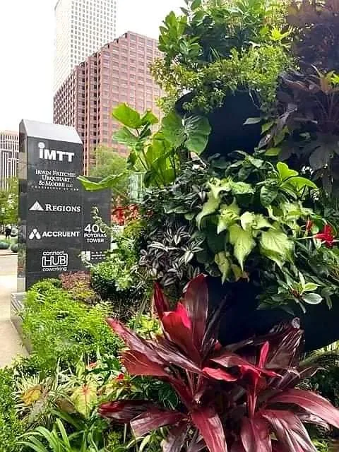 Trusted landscape installation experts serving Meraux, LA - CCNG