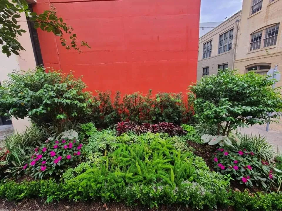 Professional garden landscaping for residential properties across Meraux, LA - CCNG