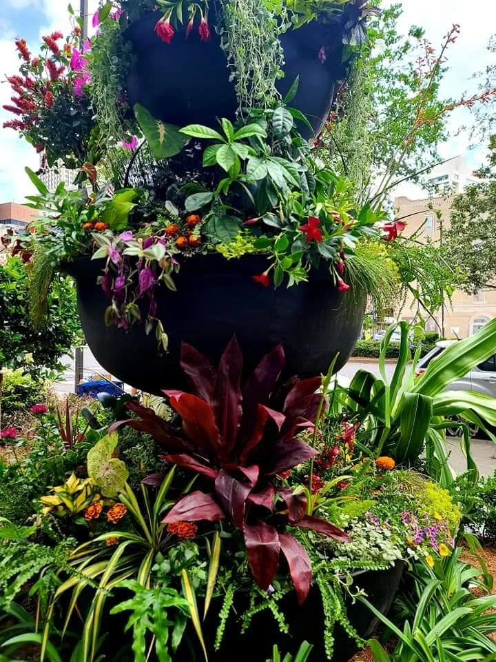 Reliable yard maintenance for homes across Meraux, LA - CCNG