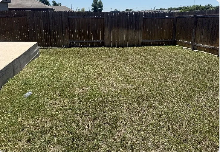 Expert landscaping services experts serving Austin, TX - CCR Landscaping