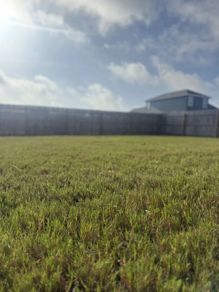 Trusted landscape installation in Austin, TX - CCR Landscaping