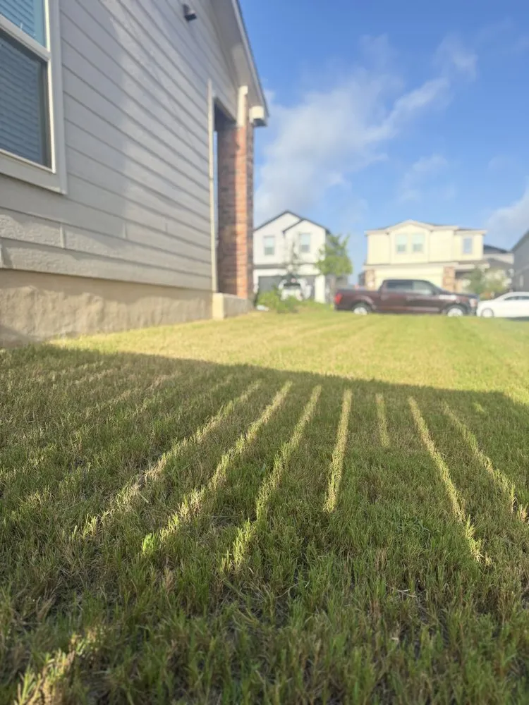 Local residential landscaping for homes across Austin, TX - CCR Landscaping