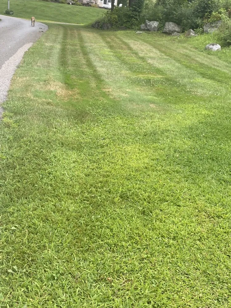 Reliable yard maintenance in Ogunquit, ME - CCS Lawn & Property Care