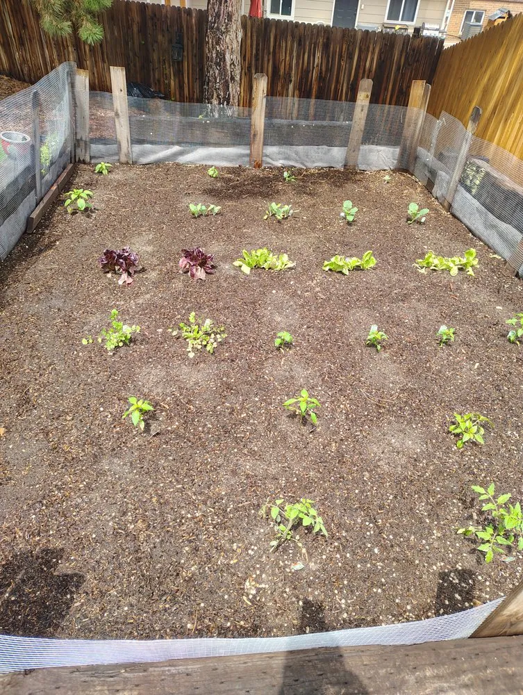 Custom outdoor landscaping in Thornton, CO - CC's Lawn Care