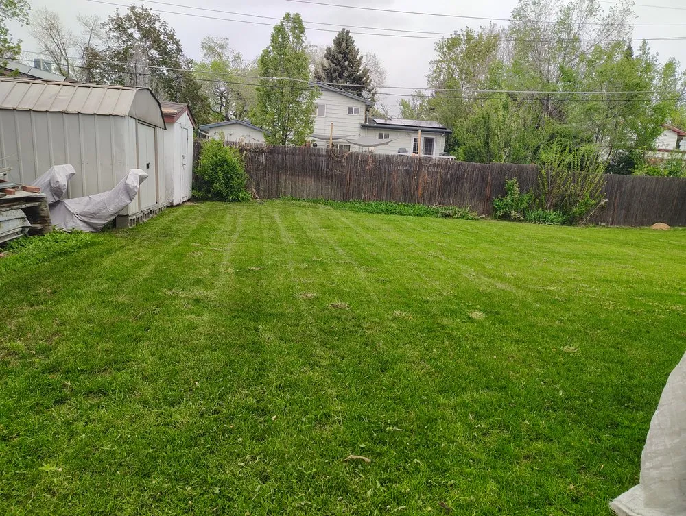 Top-rated yard cleanup service for homes in Thornton, CO by CC's Lawn Care