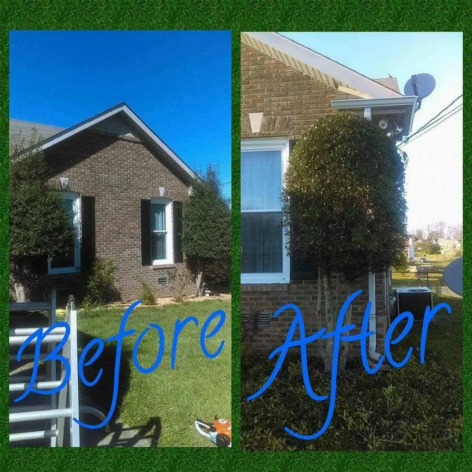 Reliable outdoor landscaping for year-round maintenance across Clarksville, TN - CC's Lawn Service