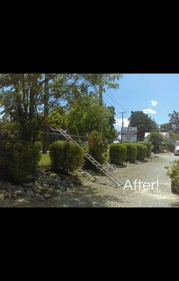 Reliable lawn care service in Clarksville, TN by CC's Lawn Service