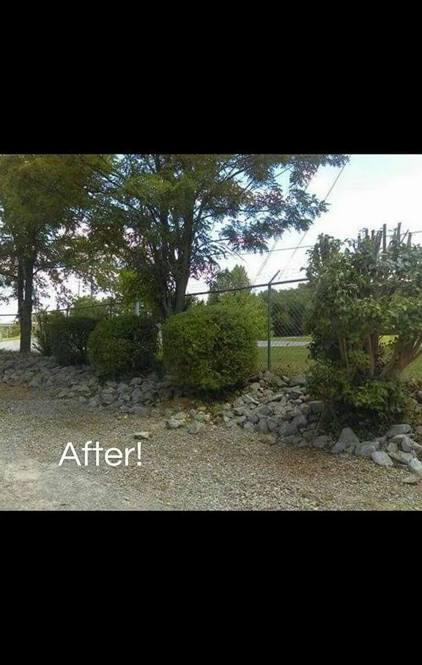 Custom yard cleanup service in Clarksville, TN - CC's Lawn Service