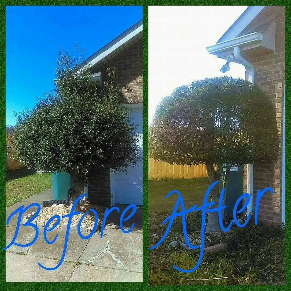 Top-rated landscape installation in Clarksville, TN by CC's Lawn Service