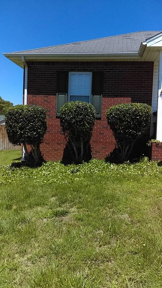 Top-rated garden landscaping for homes in Clarksville, TN by CC's Lawn Service