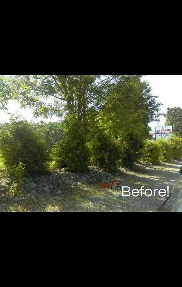 Reliable landscaping services in Clarksville, TN - CC's Lawn Service