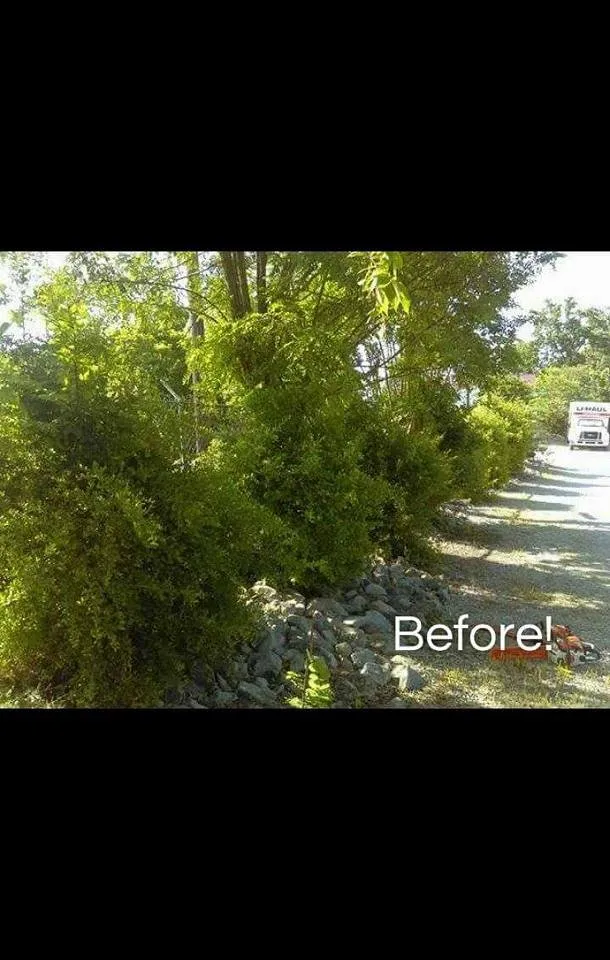 Custom landscaping services for residential properties in Clarksville, TN by CC's Lawn Service