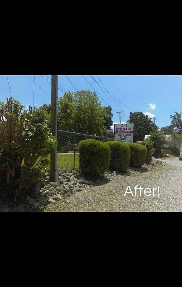 Trusted landscaping services for outdoor upgrades across Clarksville, TN - CC's Lawn Service