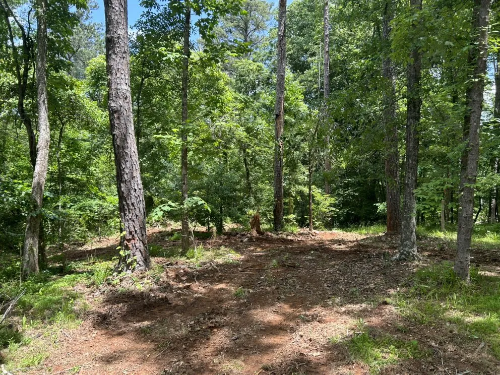 Professional residential landscaping in Waco, GA by C&D Bush Hogging and Scraping