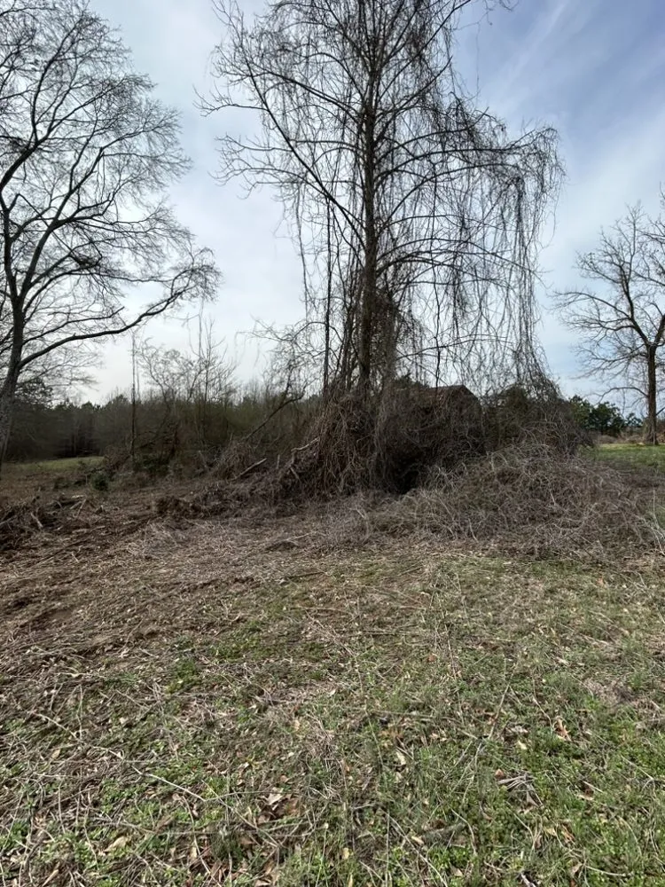 Reliable yard cleanup service in Waco, GA by C&D Bush Hogging and Scraping